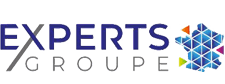 Logo Experts Groupe